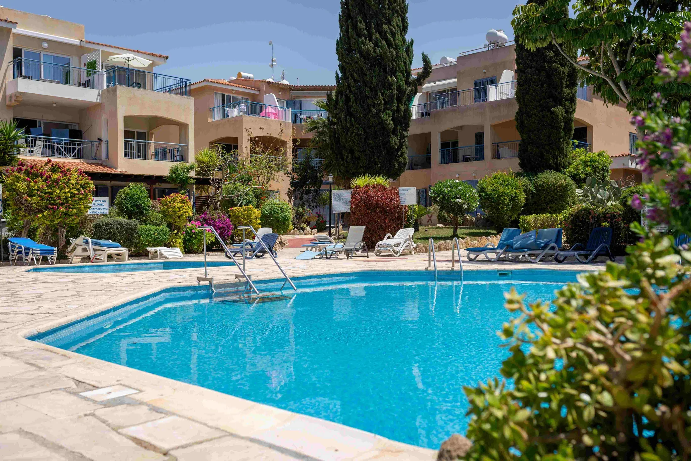Der Gemeinschaftspool in Paradise Gardens mit Liegen und Palmen