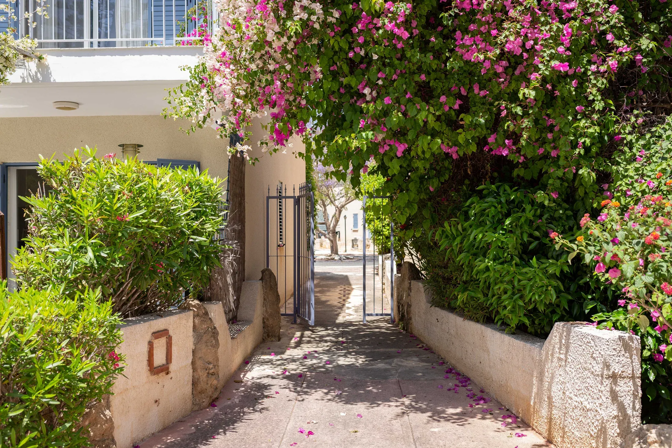 Gartenweg mit Bougainvillea hinunter zum Pool
