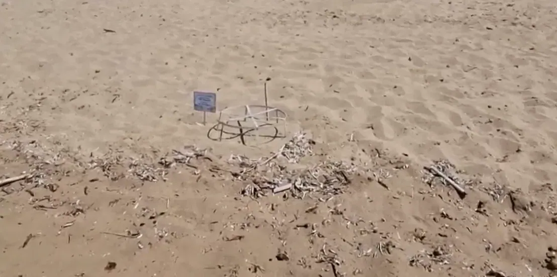 Hinweisschilder zum Schildkrötenschutz im Naturreservat Lara Beach